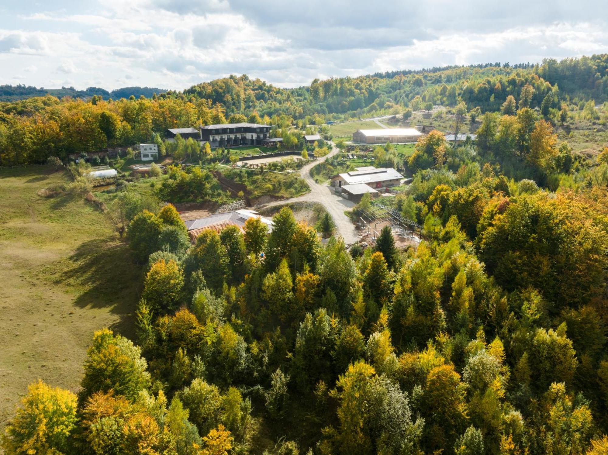 فندق Potcoava Mountain Hideaway Runcu  المظهر الخارجي الصورة