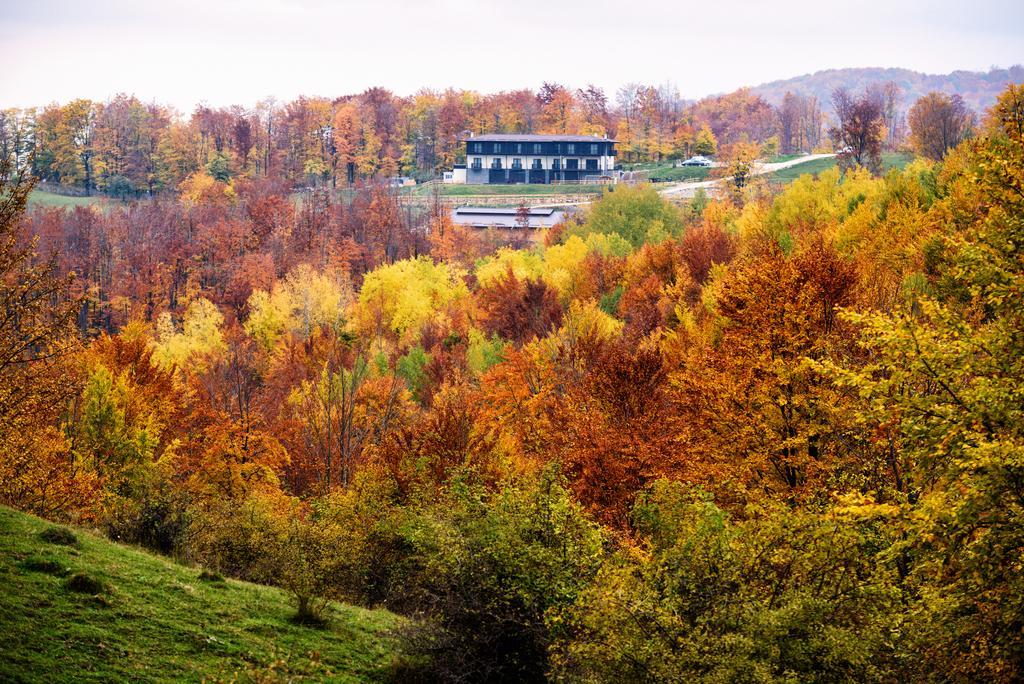 فندق Potcoava Mountain Hideaway Runcu  المظهر الخارجي الصورة