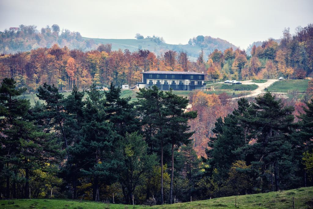 فندق Potcoava Mountain Hideaway Runcu  المظهر الخارجي الصورة