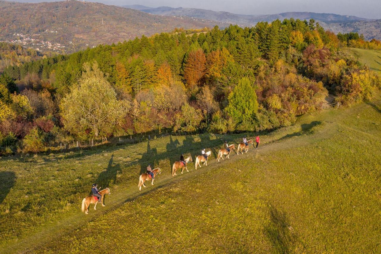 فندق Potcoava Mountain Hideaway Runcu  المظهر الخارجي الصورة